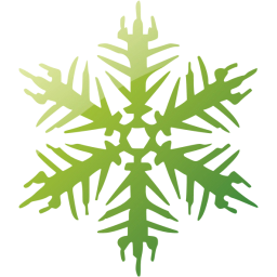 snowflake 16 icon