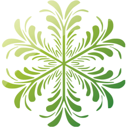 snowflake 17 icon