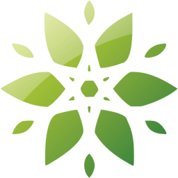 snowflake 23 icon