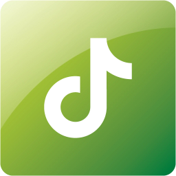 tiktok 2 icon