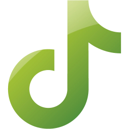 tiktok icon