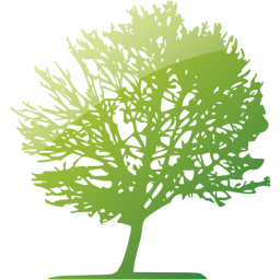 tree 11 icon