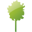 tree 12