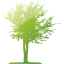 tree 15