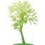 tree 16