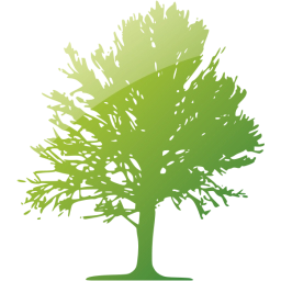 tree 18 icon