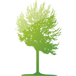 tree 2 icon