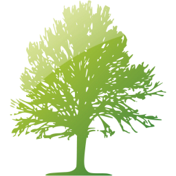 tree 24 icon