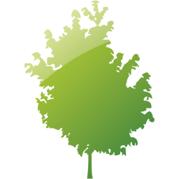 tree 25 icon