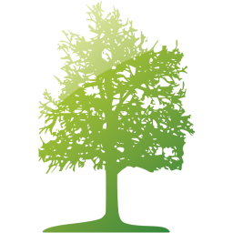 tree 26 icon
