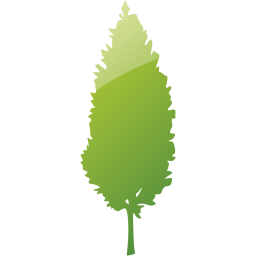 tree 3 icon