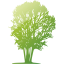 tree 31