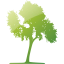 tree 33