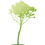 tree 34
