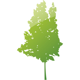tree 35 icon