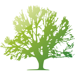 tree 41 icon