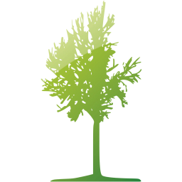 tree 42 icon