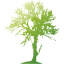 tree 48