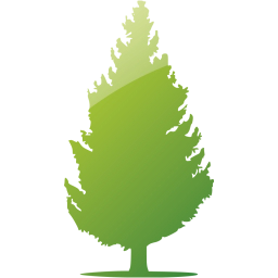 tree 55 icon