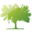 tree 59