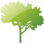 tree 60