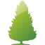 tree 64