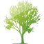 tree 68