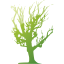 tree 72