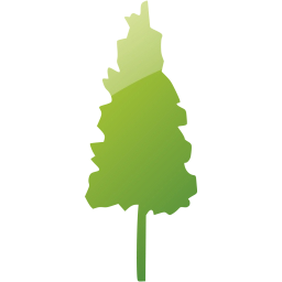 tree 75 icon