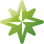 wind rose