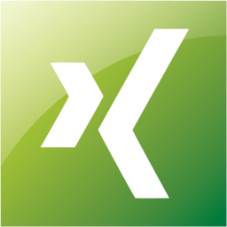 xing 2 icon