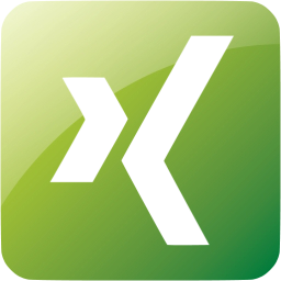 xing 3 icon