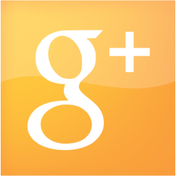 google plus 2 icon