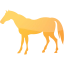 horse 4