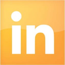 linkedin 2 icon