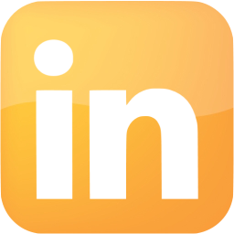 linkedin 6 icon