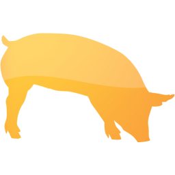pig 7 icon
