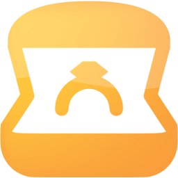 ring icon