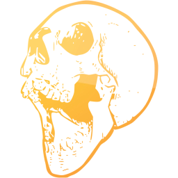 skull 21 icon