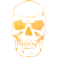 skull 41