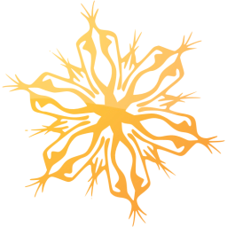 snowflake 4 icon