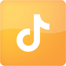 tiktok 2 icon