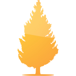 tree 55 icon