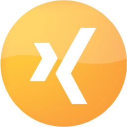 xing 4 icon