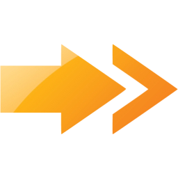 arrow 13 icon