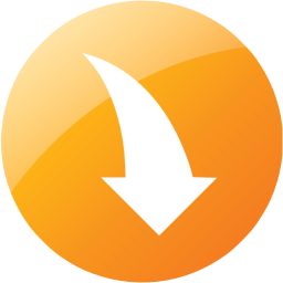 arrow 244 icon