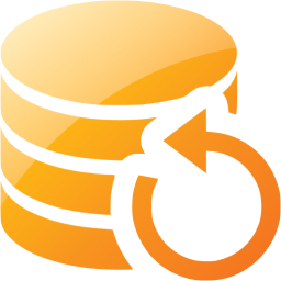 data backup icon