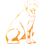 dog 13