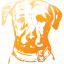 dog 6