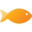 fish 8